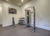 Thumbnail 12 of 40 - a gym with weights and a tv in the corner of a room