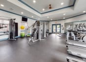 Thumbnail 29 of 46 - Madalyn Landing Apartments | Palm Bay, FL | Fitness Center