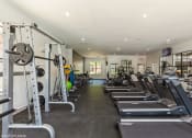 Thumbnail 31 of 35 - a gym with cardio equipment and weights on the floor