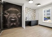 Thumbnail 52 of 60 - Pet spa services for residents at Longleaf Apartments in St. Johns, FL.