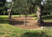 Thumbnail 7 of 10 - Olive Grove Apartments Landscaping
