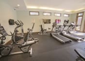 Thumbnail 23 of 39 - The Palms of Clearwater Apartments Fitness Center
