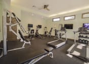 Thumbnail 21 of 39 - The Palms of Clearwater Apartments Fitness Center