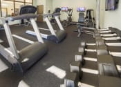 Thumbnail 22 of 39 - The Palms of Clearwater Apartments Fitness Center
