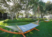 Thumbnail 19 of 39 - The Palms of Clearwater Apartments Hammock Lawn