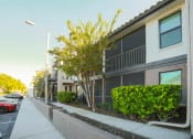 Thumbnail 37 of 39 - The Palms of Clearwater Apartments Exterior