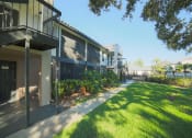 Thumbnail 39 of 39 - The Palms of Clearwater Apartments Exterior