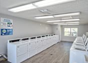Thumbnail 18 of 20 - Townsgate Apartments | Plant City, FL | Laundry Room