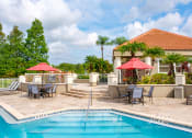 Thumbnail 15 of 42 - The Landings at Boot Ranch | Palm Harbor FL | Resort Style Pool