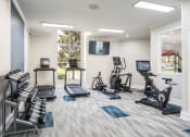 Thumbnail 36 of 42 - The Landings at Boot Ranch | Palm Harbor FL  | Fitness Center
