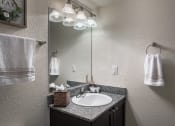 Thumbnail 11 of 42 - The Landings at Boot Ranch | Palm Harbor FL  | Model Bathroom