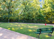 Thumbnail 15 of 18 - Gated, Leash-Free Dog Park