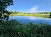 Thumbnail 8 of 53 - A serene lake surrounded by lush greenery under a clear blue sky.