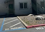 Thumbnail 16 of 18 - A building with a "NO PARKING" sign painted on the pavement in front of it.