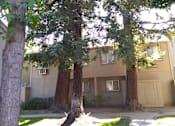 Thumbnail 9 of 19 - Colonial Farms Apartments - apartment building with trees and grass out front