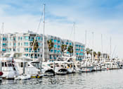 Thumbnail 2 of 8 - A marina with boats docked in front of a row of buildings.