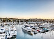 Thumbnail 3 of 19 - A marina filled with lots of boats.