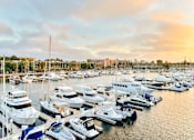 Thumbnail 1 of 19 - A marina filled with lots of boats.