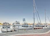 Thumbnail 7 of 8 - A row of boats are docked at a marina.
