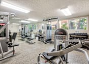 Thumbnail 16 of 23 - a gym with cardio equipment and weights on the floor at Casa Granada, Los Angeles, 90049