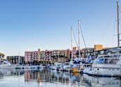 Thumbnail 34 of 36 - a group of boats docked in a marina with buildings in the background  at Marina Harbor, California, 90292