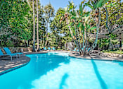 Thumbnail 4 of 13 - a swimming pool at a resort with trees and chairs  at Rancho Los Feliz, Los Angeles