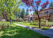 Thumbnail 15 of 17 - a walkway between two apartment buildings with trees and grass at Valley Plaza Villages, Pleasanton
