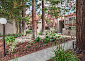 Thumbnail 16 of 17 - a courtyard with trees and a sidewalk in front of a building at Valley Plaza Villages, California