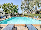 Thumbnail 9 of 19 - A large swimming pool surrounded by trees and lounge chairs.
