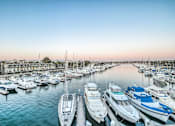 Thumbnail 2 of 19 - A marina filled with lots of boats.