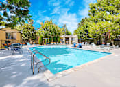 Thumbnail 12 of 16 - A large swimming pool surrounded by trees and lounge chairs.