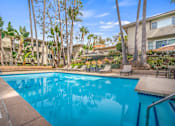 Thumbnail 9 of 15 - A swimming pool surrounded by palm trees and a building in the background.