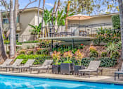 Thumbnail 10 of 15 - A pool surrounded by chairs and trees.