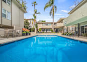 Thumbnail 6 of 15 - A swimming pool in a residential area with houses and palm trees.