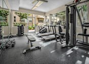 Thumbnail 15 of 15 - A gym with a variety of equipment including treadmills, weights, and exercise machines.