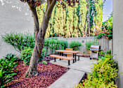 Thumbnail 9 of 12 - A backyard with a picnic table and a tree at Pleasanton Place, Pleasanton, CA, 94566