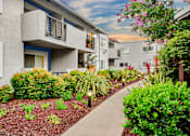 Thumbnail 10 of 12 - A concrete pathway leads through a landscaped area in front of apartment buildings at Pleasanton Place, Pleasanton, CA, 94566