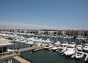 Thumbnail 5 of 19 - A marina filled with lots of boats.