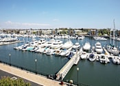 Thumbnail 4 of 19 - A marina with many boats docked.