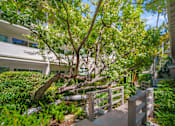 Thumbnail 2 of 14 - A tree in a backyard with a wooden deck.