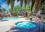 Thumbnail 2 of 17 - A pool surrounded by palm trees and patio furniture at Valley Plaza Villages, California, 94566