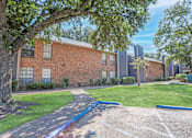 Thumbnail 20 of 23 - A tree in front of a brick building with a blue painted line on the ground.