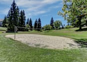 Thumbnail 9 of 27 - A volleyball court in the middle of a grassy field.