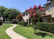 Thumbnail 9 of 11 - Nees Park Walkway