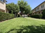 Thumbnail 5 of 11 - Grassy Area