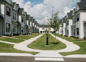 Thumbnail 17 of 17 - A tree stands in a grassy circle in front of a row of houses.
