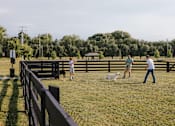 Thumbnail 16 of 16 - A family is playing with their dog in a fenced-in area.