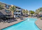 Thumbnail 5 of 46 - A swimming pool surrounded by lounge chairs and palm trees.