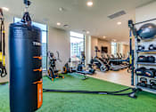 Thumbnail 14 of 23 - A gym with a punching bag, weights, and exercise equipment.