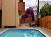 Thumbnail 6 of 14 - Community pool and seating area